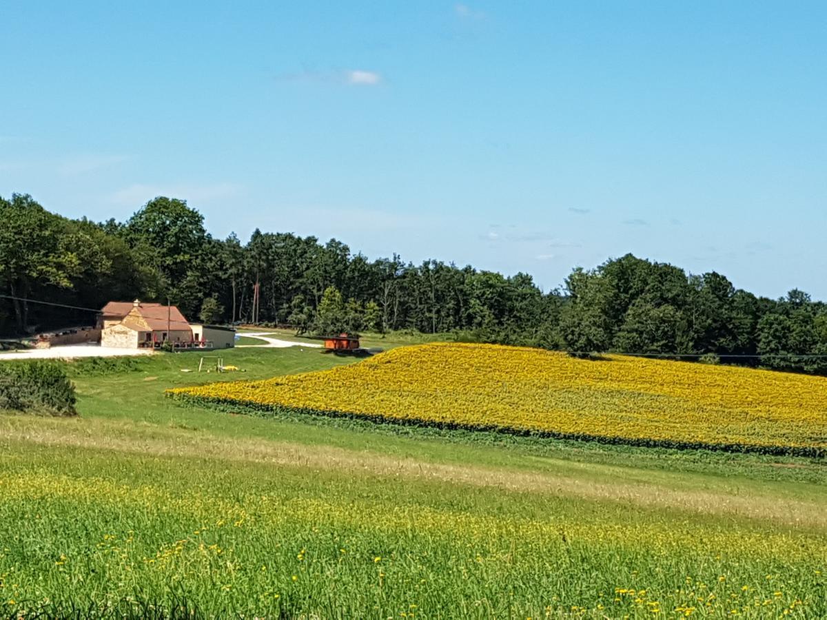 L'Evidence Bed & Breakfast La Chapelle-Aubareil ภายนอก รูปภาพ