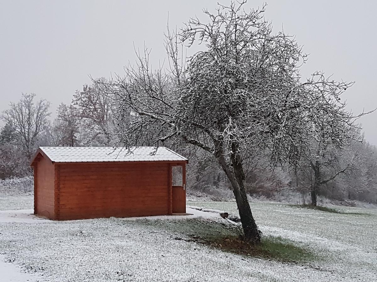 L'Evidence Bed & Breakfast La Chapelle-Aubareil ภายนอก รูปภาพ